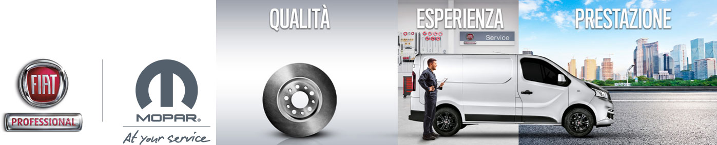 ricambi fiat professional