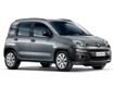 Panda Van & Hybrid