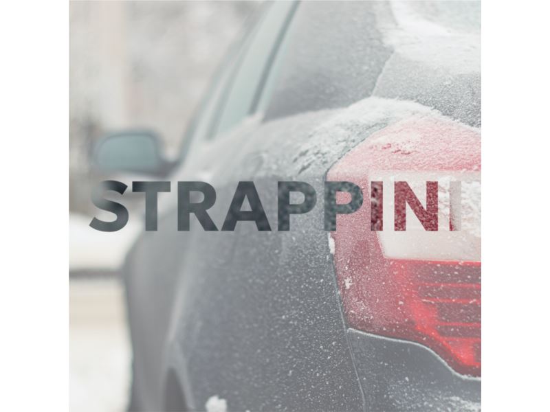 News:Preparati all'inverno con Strappini Auto: i nostri consigli per la tua sicurezza su strada